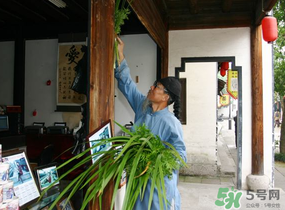 端午節(jié)門上掛的那個草叫什么？端午節(jié)掛門上的叫什么？