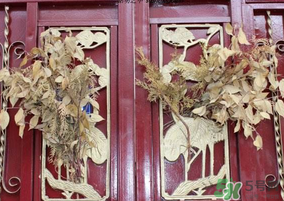 端午節(jié)門上掛的那個草叫什么？端午節(jié)掛門上的叫什么？