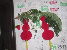 端午節(jié)門上掛的那個草叫什么？端午節(jié)掛門上的叫什么？