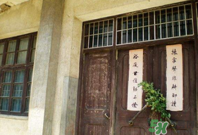 端午節(jié)插門上的是什么？端午節(jié)為什么要插艾草？