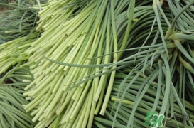 蒜薹怎么保存？蒜薹如何保存