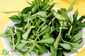 養(yǎng)心菜能生吃嗎？養(yǎng)心菜怎么吃？