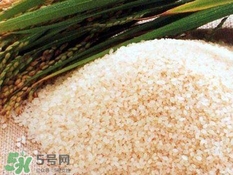 包粽子的米要泡多久？包粽子的米是什么米？