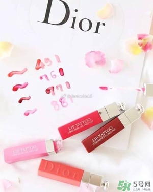 dior刺青唇彩唇釉多少錢？迪奧刺青唇彩唇釉專柜價(jià)格