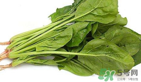 黃辣丁能和菠菜同食不？菠菜可以和黃辣丁一起吃嗎