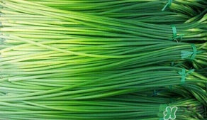 蒜薹怎么保存？蒜薹如何保存