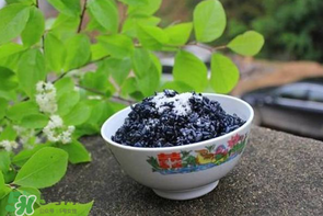 烏飯用什么葉子煮？烏飯用什么葉子圖片？