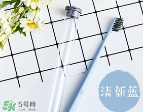 amortals爾木萄牙刷怎么樣？amortals爾木萄牙刷多少錢？