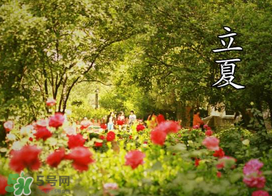 ?立夏是夏天嗎？?立夏是夏天的開(kāi)始嗎？
