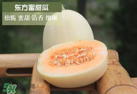 甜瓜可以帶上飛機嗎？坐飛機可以帶香瓜嗎？