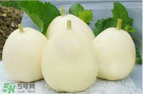 甜瓜可以帶上飛機嗎？坐飛機可以帶香瓜嗎？