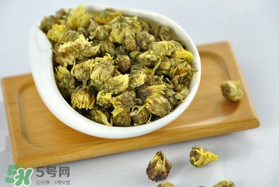 立夏喝菊花好嗎？立夏能吃苦菊嗎？