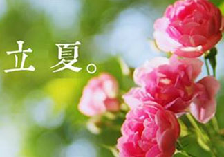 立夏開什么花？立夏有什么花？