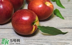 油桃什么時候成熟？油桃什么季節(jié)成熟