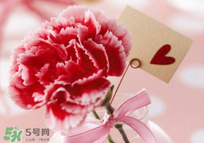 母親節(jié)要送婆婆禮物嗎？母親節(jié)要給婆婆買禮物嗎？