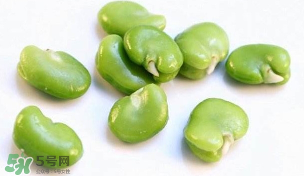 青蠶豆怎么保存？剝好的蠶豆怎么保存