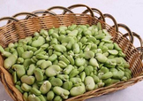 青蠶豆怎么保存？剝好的蠶豆怎么保存