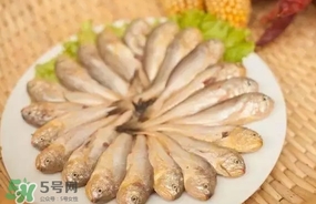 黃唇魚(yú)是黃花魚(yú)嗎？黃唇魚(yú)是黃魚(yú)嗎？