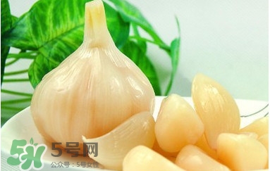 蒜頭泡醋有什么功效？蒜頭泡醋的功效和做法