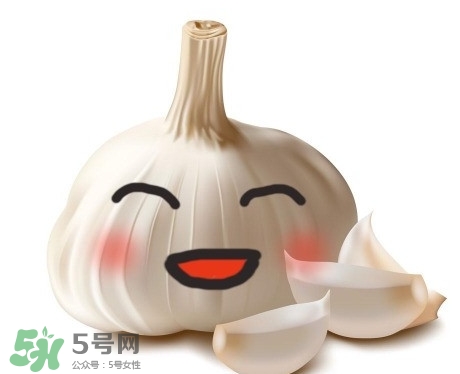 新鮮蒜頭怎么保存？蒜頭怎么保存不發(fā)芽