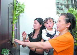 端午節(jié)為什么要掛菖蒲？端午節(jié)掛菖蒲的好處
