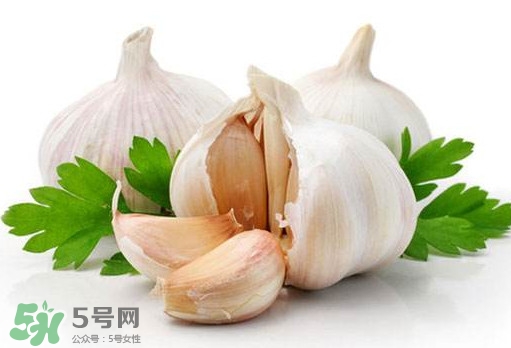 蒜頭能放冰箱嗎？蒜頭能放多久？