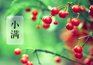 小滿是什么節(jié)氣？小滿是第幾個節(jié)氣？