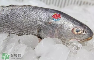 黃唇魚(yú)是黃花魚(yú)嗎？黃唇魚(yú)是黃魚(yú)嗎？