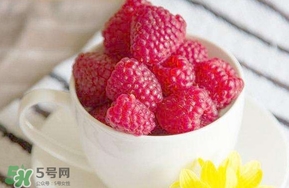 覆盆子是什么？覆盆子是樹莓嗎