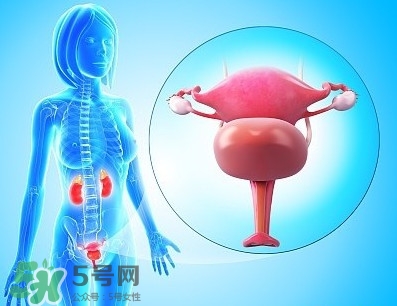 人造子宮能生孩子嗎？人造子宮初現(xiàn)曙光
