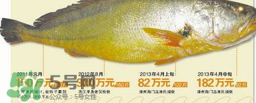 孕婦能吃金錢鱉嗎？懷孕期間能不能吃金錢鱉？