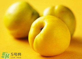 油桃和芒果可以一起吃嗎？芒果和油桃能一起吃嗎？