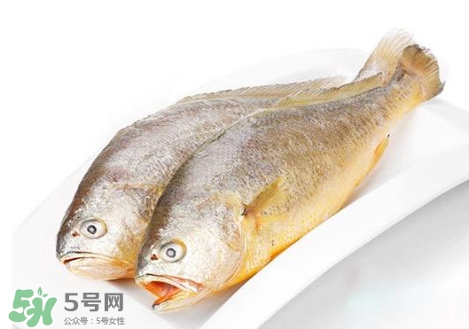 黃唇魚(yú)是不是黃花魚(yú)？黃唇魚(yú)和黃花魚(yú)的區(qū)別