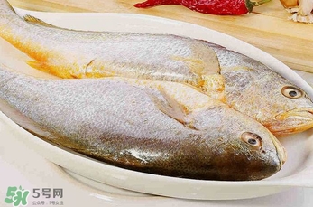 黃花魚(yú)多少錢(qián)一斤？野生黃花魚(yú)多少錢(qián)一斤