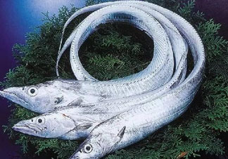 三文魚多少錢一斤2017？新鮮三文魚多少錢一條2017？
