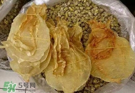 金錢鳘值多少錢？金錢鳘魚膠功效