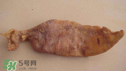 黃唇魚魚鰾是什么？魚鰾是魚的哪個(gè)部位