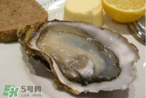 丹麥生蠔能吃嗎？生蠔的吃法大全集