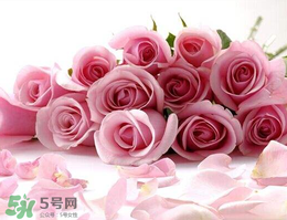 母親節(jié)送什么禮物給老婆？2017年母親節(jié)送老婆禮物推薦