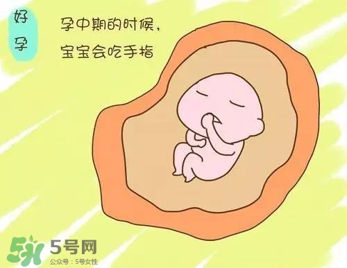 胎兒在媽媽肚子里都會(huì)干啥？胎兒的神奇世界