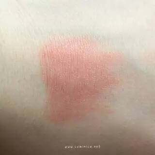 西柚色口紅有哪些？西柚色口紅推薦