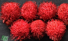 紅毛丹什么時候上市？紅毛丹什么季節(jié)有？