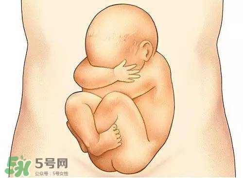 胎兒在媽媽肚子里都會(huì)干啥？胎兒的神奇世界