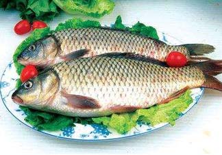 ?五月份吃什么魚？5月份吃什么魚？