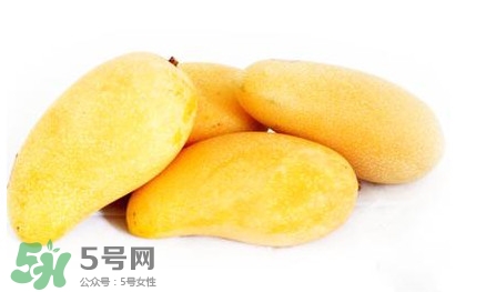 芒果每天吃多少合適？芒果一天吃幾個(gè)為宜