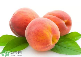 桃子為什么不能和西瓜一起吃？桃子和西瓜為什么不能一起吃？