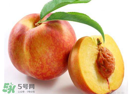 桃子可以放冰箱嗎？桃子能放冰箱保鮮嗎？
