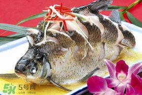 ?五月份吃什么魚？5月份吃什么魚？