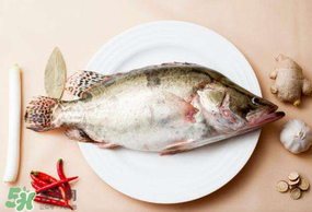 ?五月份吃什么魚？5月份吃什么魚？