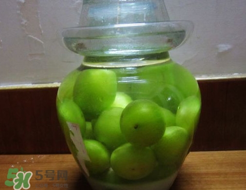 三華李可以泡酒嗎？三華李可以多吃嗎？